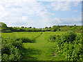 Mown path, Cornmill Meadows in EN9 1QF