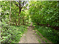 Track in Galleyhill Wood in EN9 2BS