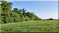 Grass Fields next to Whitepits Plantation in CB23 7XL