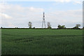 Looking to a pylon over wheat field near Lowerhouse Farm, Finchingfield in CB10 2QR