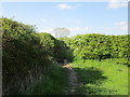 Bridleway to Orston in Cranmer Ward