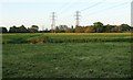Pylons in the Clyst valley in EX5 2AF