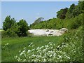 Chalkpit below Highbourne Farm in ME17 2FL