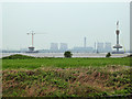 View Across Wigg Island Towards the Mersey and the New Bridge in Halton (B)