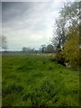 Meadows near River Stour in Dedham in CO7 6HW
