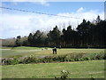Royal Cromer Golf Club in NR27 0JW