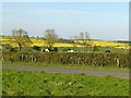 Landscape near Brooke in Brooke
