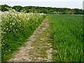 Path through a field in PR4 6HN