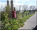 Elizabeth II postbox on Cromer Road, East Runton in NR27 9BG