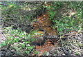 Polluted stream in Dunvant in SA2 7TU