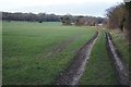 Farm track by Great Wildcroft Field in RG22 5QA