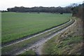 Farm track skirting Great Wildcroft Field (20.5 acres) in RG22 5QA