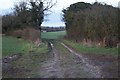 Farm track to Battledown Farm in RG22 5QA