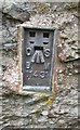 Ordnance Survey Flush Bracket (11431) in Llanuwchllyn Community