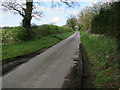 Bintree Road in Billingford