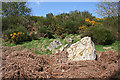 Boulder at Balnacraig in AB31 4PQ