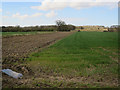 Field by Foulsham Road in NR20 5RD
