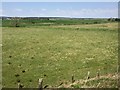 View from a Stirling-Perth train - farmland near Cambushinnie in FK15 0NW