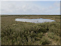 Saltmarsh pool, Blakeney Point in NR25 7NF