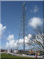 Communications mast, Bacton Gas Terminal in Paston