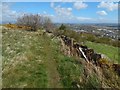 Path beside a dry-stone wall in G78 1DX