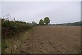 Recently sown field, Shelderton in SY7 0PE