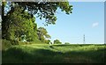 Field south of Higher Tale in EX5 2RP