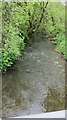 The Egford Brook in BA11 3JL