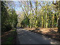 Road through Lodge Wood in NR24 2ER