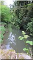 The Mells Stream below Great Elm in BA11 3NZ