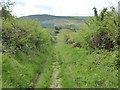 Bridle path at Mutton Dingle in LD8 2SU