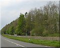 Belt of trees by Fosse Way in GL54 3LE