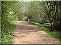 Paths and Bridge in Woodgate Valley Country Park in B62 0EY