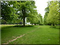 Bushy Park - Trees Lining Chestnut Avenue in TW11 0DX