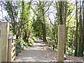 Upper path, Colby Lodge in SA67 8PW