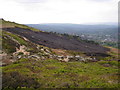Fire damage on Ilkley Moor in LS29 8RJ