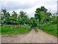 Private track off Newhouse Road in CO6 2NJ