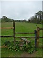 Stile and footpath south from Hoe in EX37 9DU