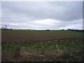Fields, Wester Muirdean in TD5 7RP