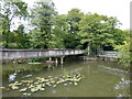 Footbridge across River Mole in KT10 8AR