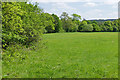 Field beside Lawn's Copse in GU10 5EU