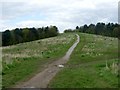 Footpath to the top of a reclaimed slag heap in NG17 5BB