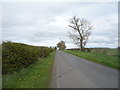 Minor road towards Loanend in TD15 2GP
