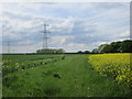 Field edge and electricity pylons in DN41 7QQ