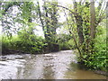 River, Glasfryn Ford, St Clears in SA33 4DN