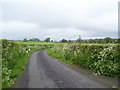 Road near Glasfryn Ford, St Clears in SA33 4DN