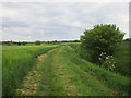 Bridleway from Healing approaching Aylesby Road in DN37 7AL