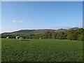 View from Park Hill towards Embsay Moor in BD23 1LU