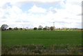 Farmland near Worstead Station in NR28 9RX