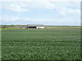 Crop field east of Whimpwell Street in Happisburgh